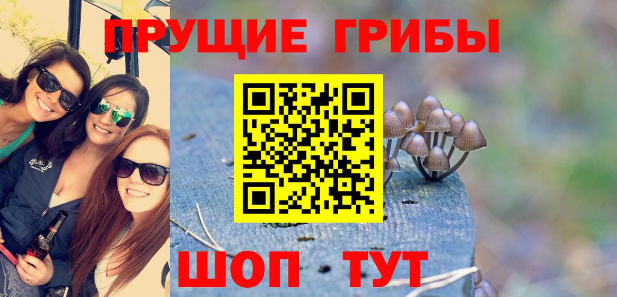 Калининград  Псилоцибиновые грибы мицелий  Вход с VPN 