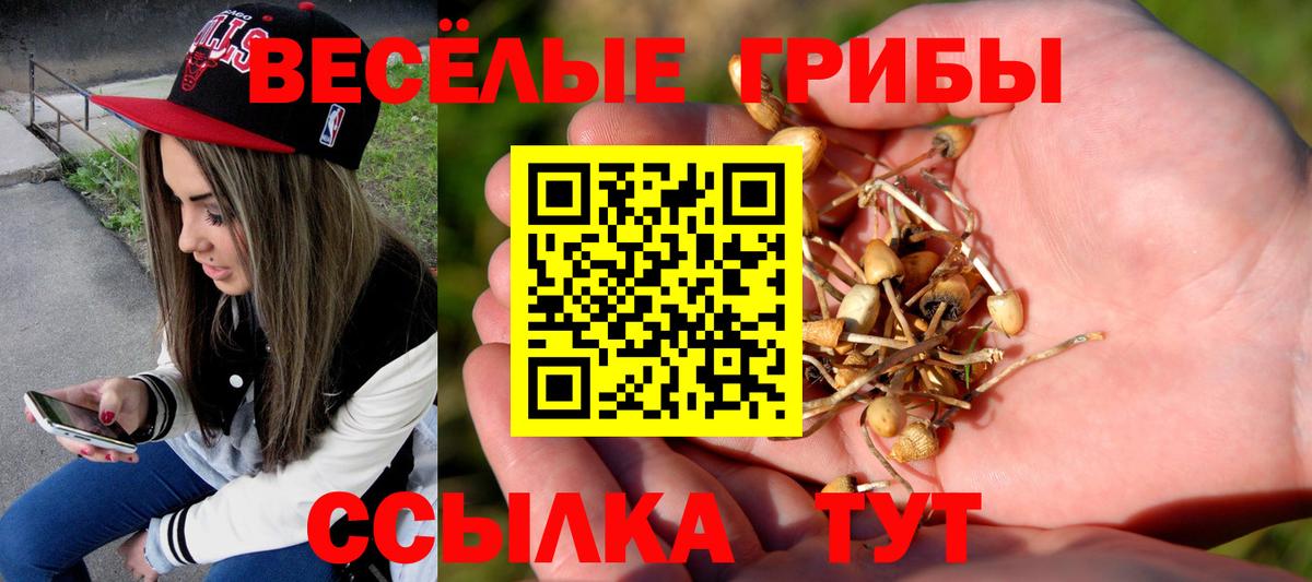 Псилоцибиновые грибы прущие грибы Калининград
